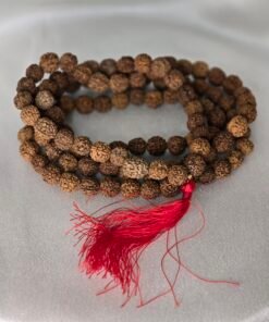 Collar Rudraksha 10mm